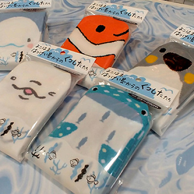 横浜八景島からのくつしたたち