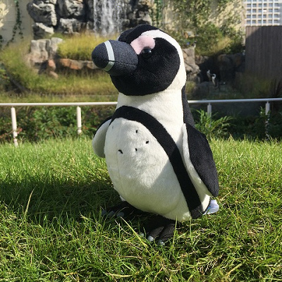 サンシャイン水族館のお土産