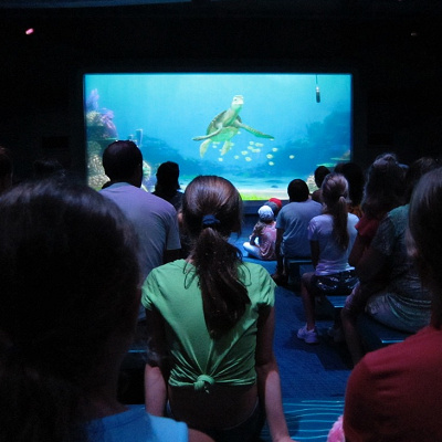 お話しできるように目立とう！！