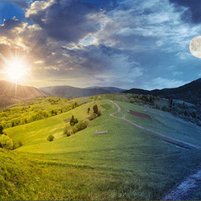 ニジゲンノモリの様子