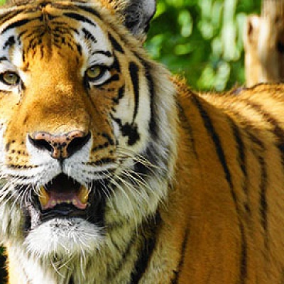 天王寺動物園【その他】駐車場の料金