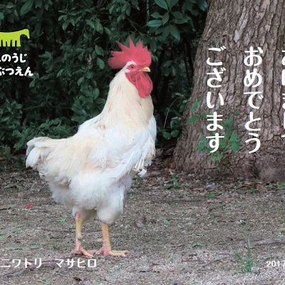 天王寺動物園：【おすすめ⑤】TVで話題！強運の持ち主