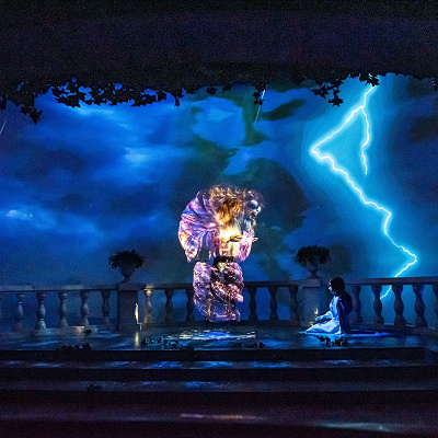 野獣の姿はだんだん...