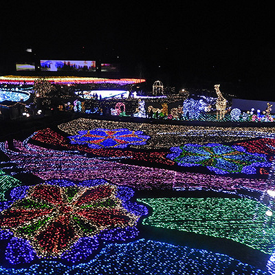 イルミネーションを上空から見られる観覧車が人気