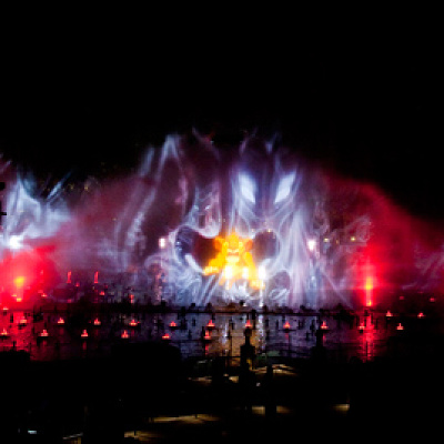 『ライオン・キング』シーン