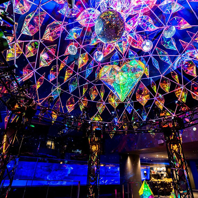 すみだ水族館では室内で楽しめるイルミネーションを開催