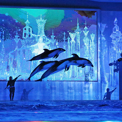 夜から八景島シーパラダイスを楽しめるチケットもありますよ！