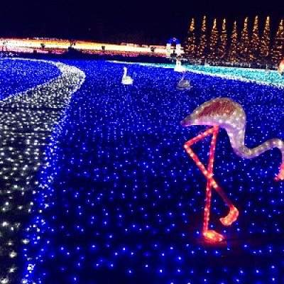 東武動物公園イルミネーション2021