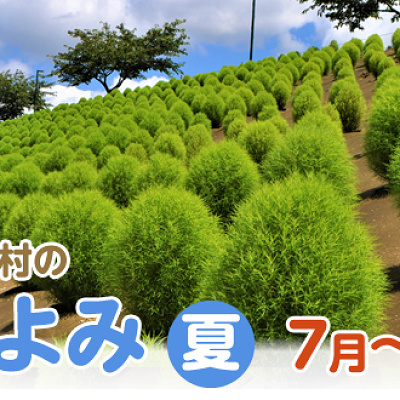 東京ドイツ村の花こよみ（夏）