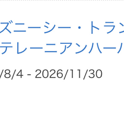 トランジットスチーマーラインの2026年の休止期間