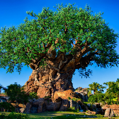 ツリーオブライフ