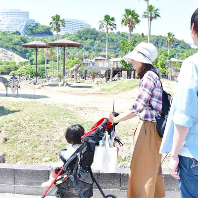 自分で歩いて回る「ウォーキングサファリ」