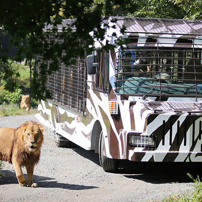 富士サファリパークの天気