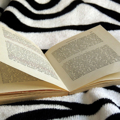 構想段階のブーとは？