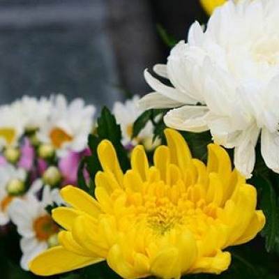 本作となじみ深い日本の接点とは?