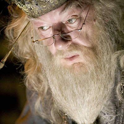 ハリーはいつニワトコの杖の持ち主になった？