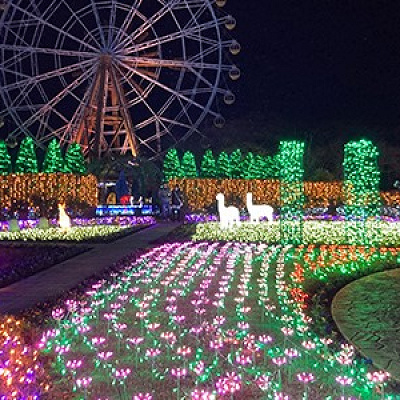 ウインターイルミネーション2021‐2022ローズガーデン