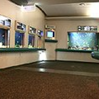 世界のさかな館