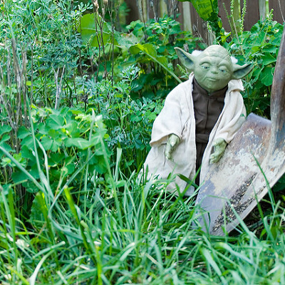 生きるための格言をたくさん教えてくれるヨーダ