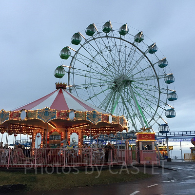 2019年マザー牧場イルミネーションの様子