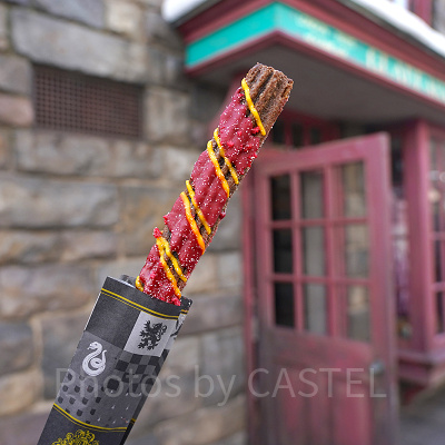 ホグワーツ4寮チュリトス（グリフィンドール）