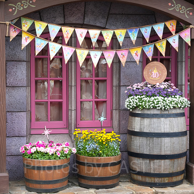 美女と野獣エリアの40周年フォトスポット