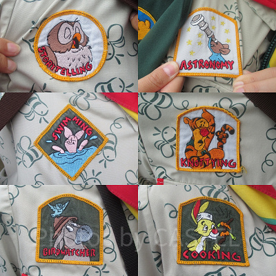 プースカウトのワッペン6種類