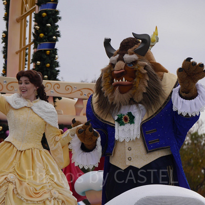 東京ディズニーランドで会えるビースト。優しい瞳をしていますね！