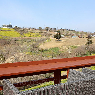 花畑や花火もばっちり見える眺望ばつぐんのグランピングエリア
