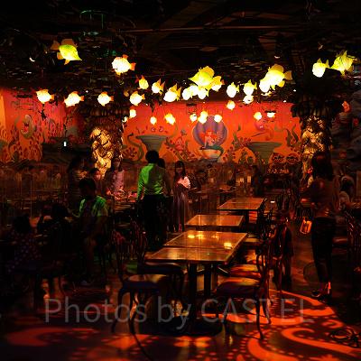 たくさんの魚たちが楽しく泳いでいて、まるで海の中にいるみたいです♪