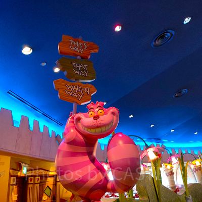 チェシャ猫ファンはシャッターチャンス！