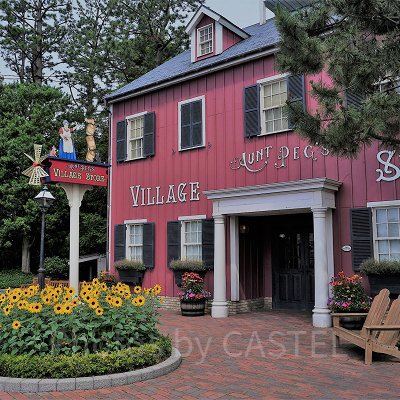 ダッフィーグッズが揃う人気のお土産屋さん♡