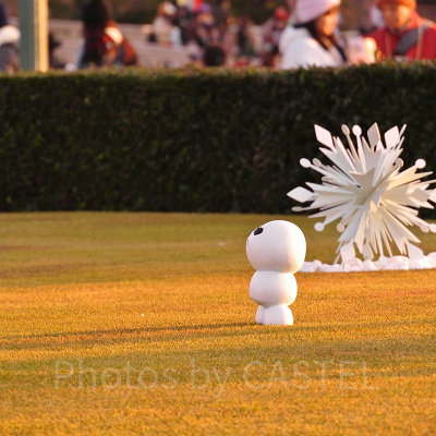 とってもマイペースなスノーギース。