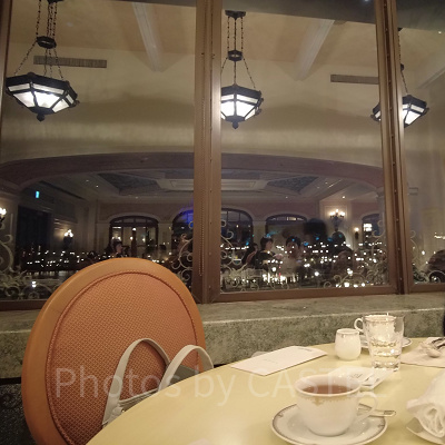 ベッラヴィスタ・ラウンジの窓際席から見たディズニーシーの景色