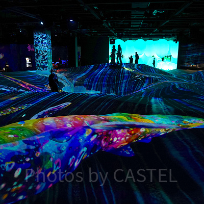 「鼓動する大地」に泳ぐクジラ