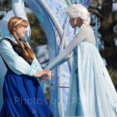 アナとエルサの心温まる姉妹愛を描いた作品