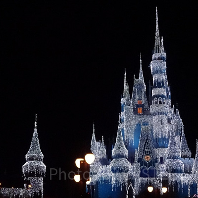 Disney 100 Years of Wonder(Disney100)について