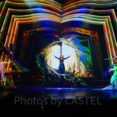 香港ディズニーチケット以外の予算について