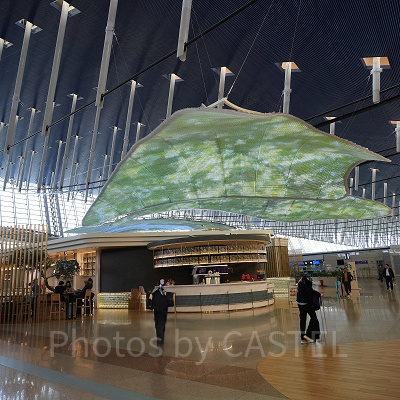 上海ディズニーへのアクセス（行き方）：上海にある浦東国際空港