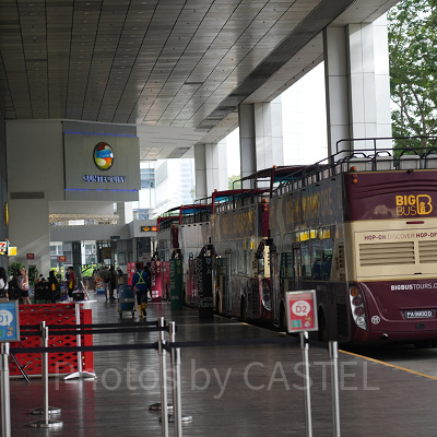 シンガポール動物園へのアクセス：直通バスはある？