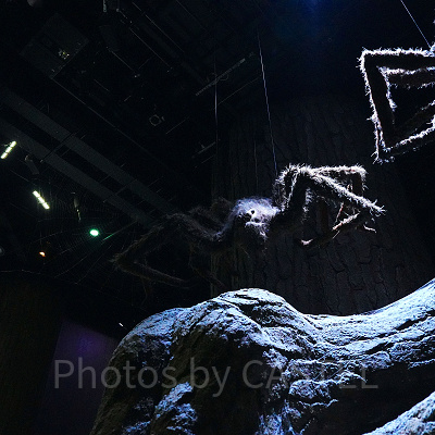 ハリーポッターに登場する魔法生物アクロマンチュラ