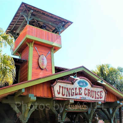 ジャングルを大冒険