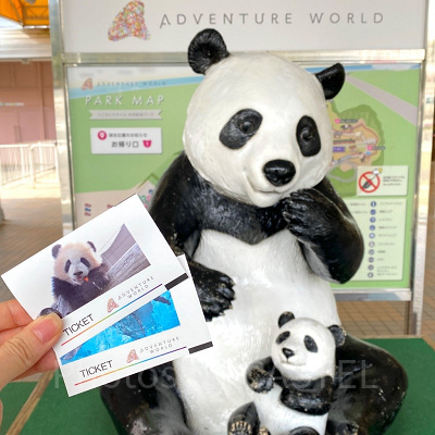 アドベンチャーワールドの前売り券:購入の流れ