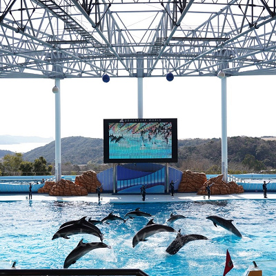 アドベンチャーワールドの前売り券:種類