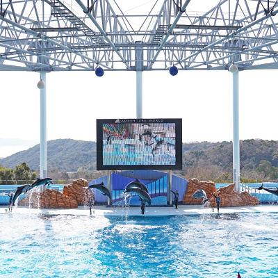 アドベンチャーワールドのイルカショー