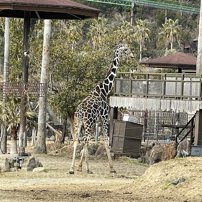 アドベンチャーワールドの営業時間
