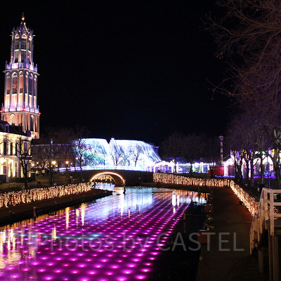 たっぷり遊んだ後は幻想的な夜景も楽しんで