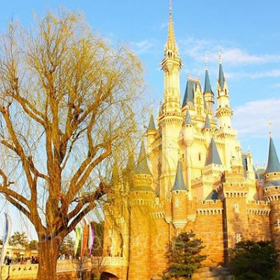 1月が狙い目！？