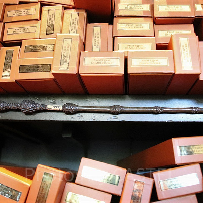 アルバス・ダンブルドアの杖