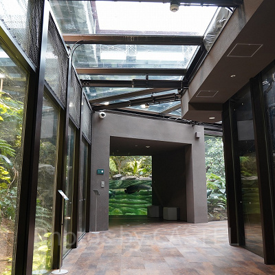 アマゾンゾーン